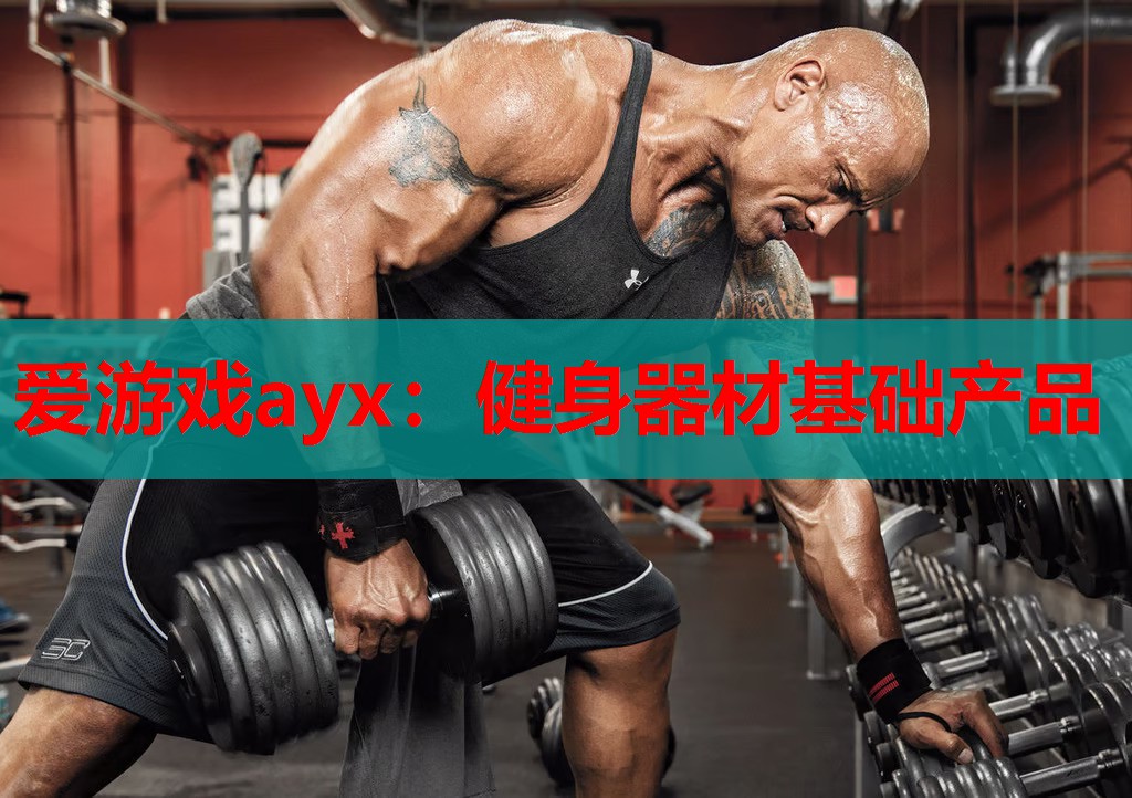爱游戏ayx：健身器材基础产品