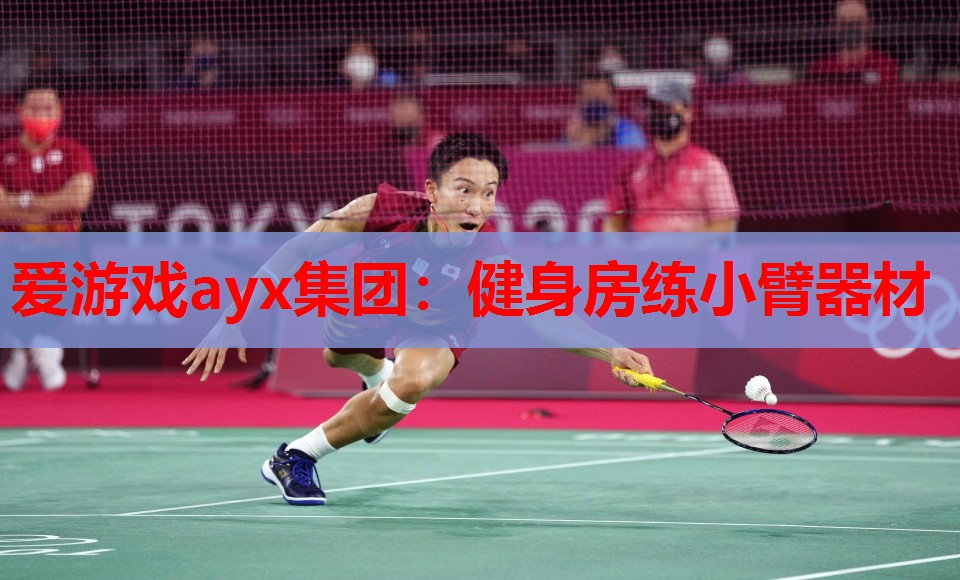 爱游戏ayx集团：健身房练小臂器材