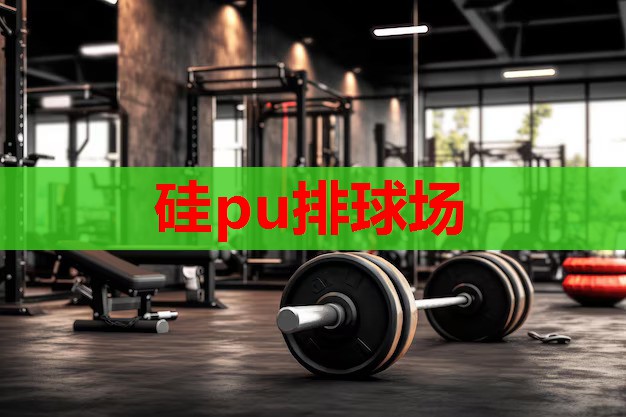 硅pu排球场 硅pu排球场