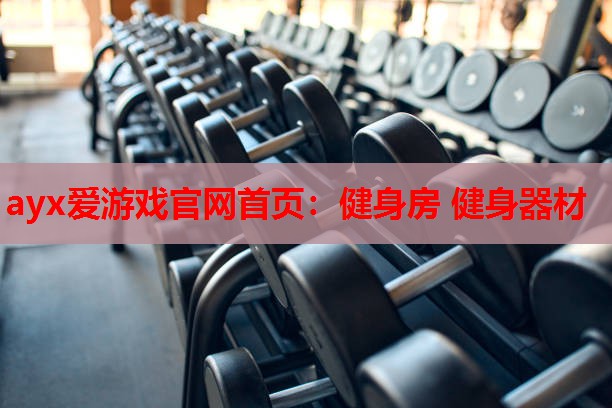 健身房 健身器材 健身房 健身器材
