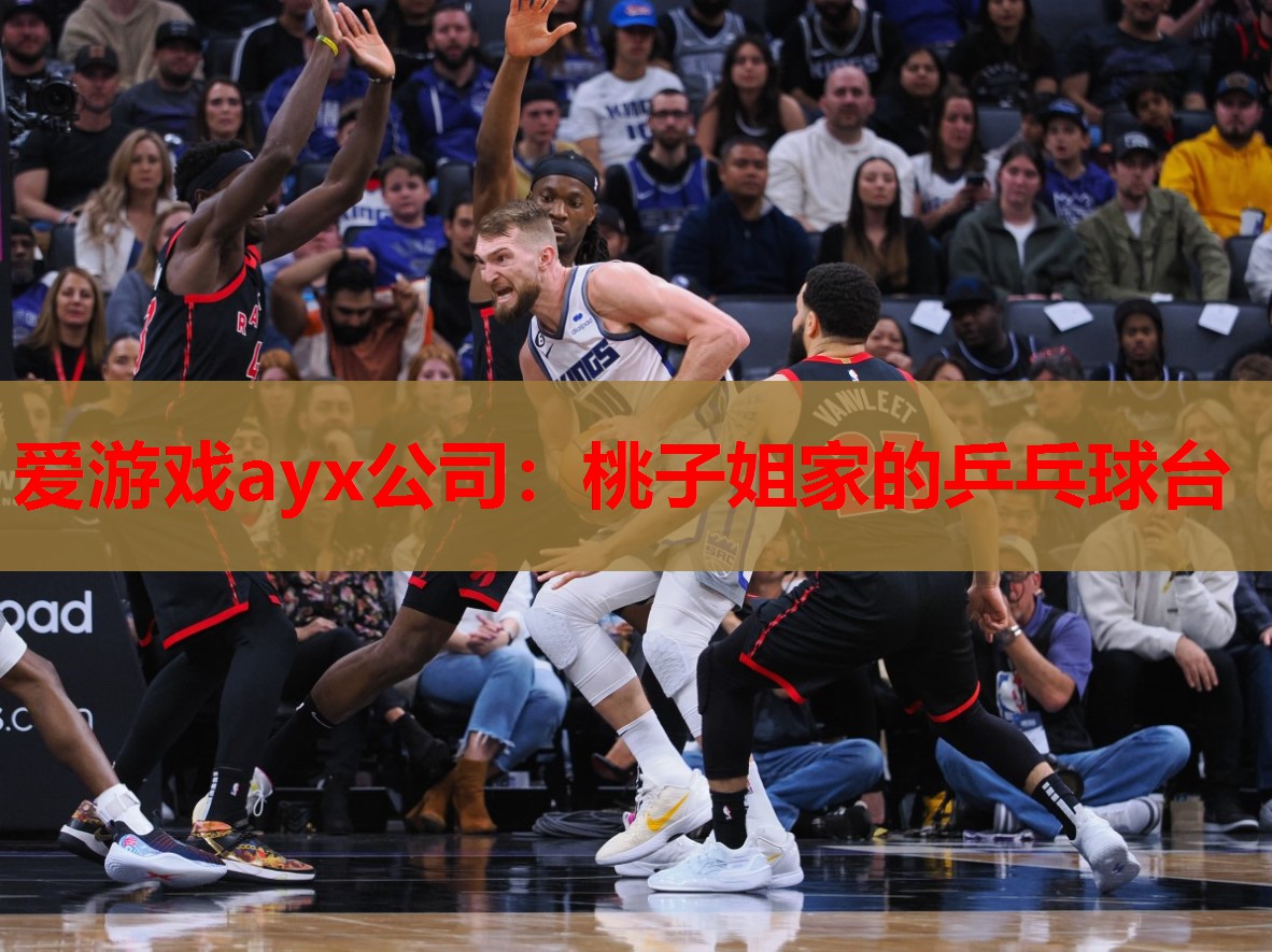桃子姐家的乒乓球台 桃子姐家的乒乓球台