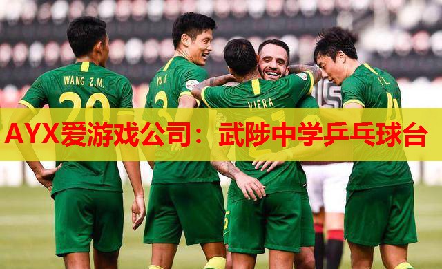 武陟中学乒乓球台 武陟中学乒乓球台