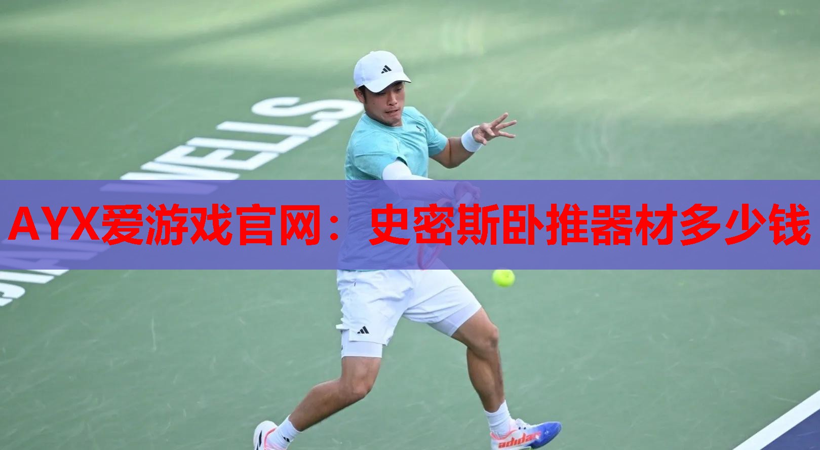 史密斯卧推器材多少钱 史密斯卧推器材多少钱