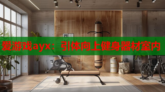 引体向上健身器材室内 引体向上健身器材室内