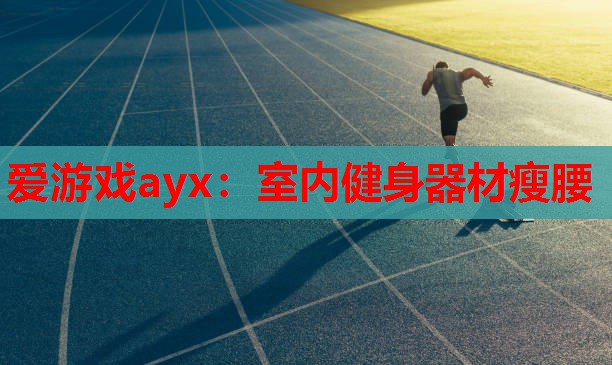 室内健身器材瘦腰 室内健身器材瘦腰