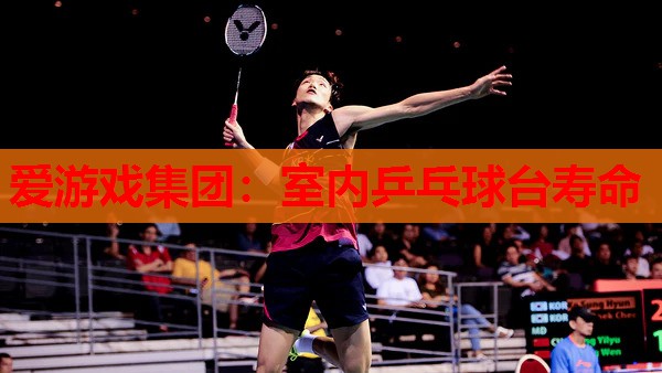 室内乒乓球台寿命 室内乒乓球台寿命