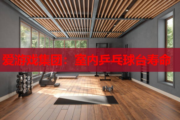 室内乒乓球台寿命 室内乒乓球台寿命