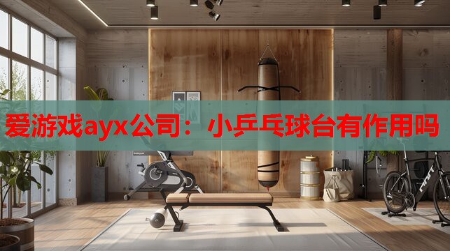 小乒乓球台有作用吗 小乒乓球台有作用吗