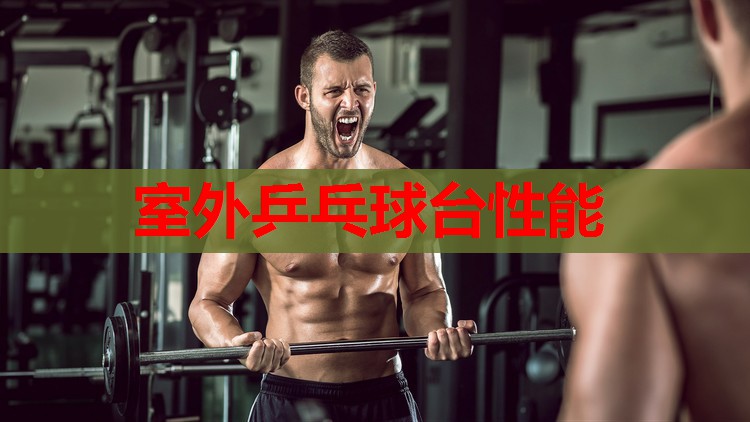 室外乒乓球台性能 室外乒乓球台性能
