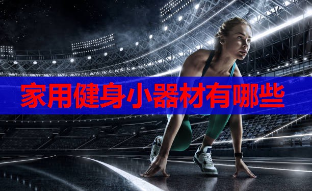 家用健身小器材有哪些 家用健身小器材有哪些