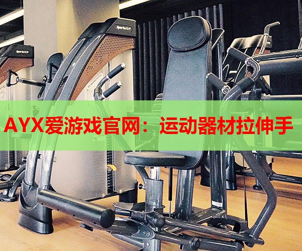 运动器材拉伸手 运动器材拉伸手