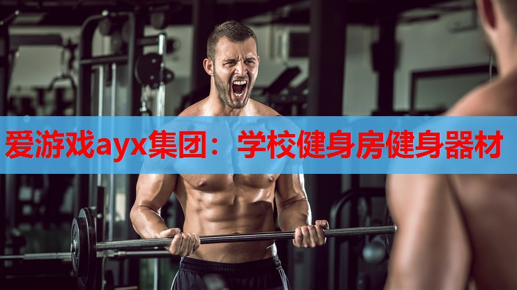 学校健身房健身器材 学校健身房健身器材