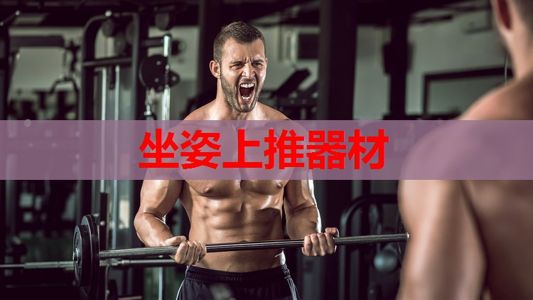 坐姿上推器材 坐姿上推器材