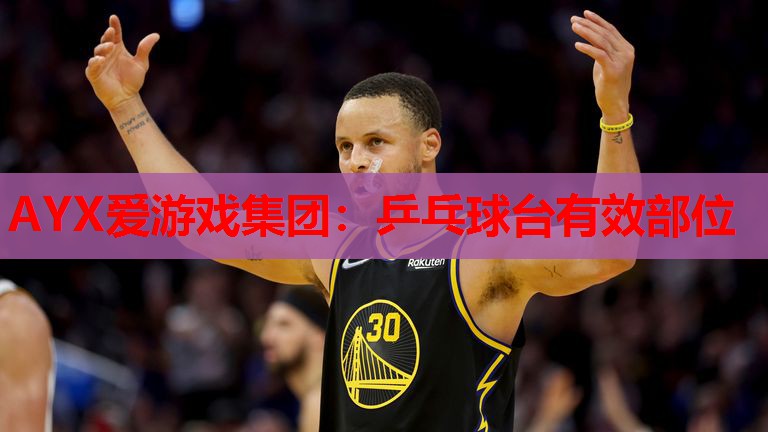 乒乓球台有效部位 乒乓球台有效部位
