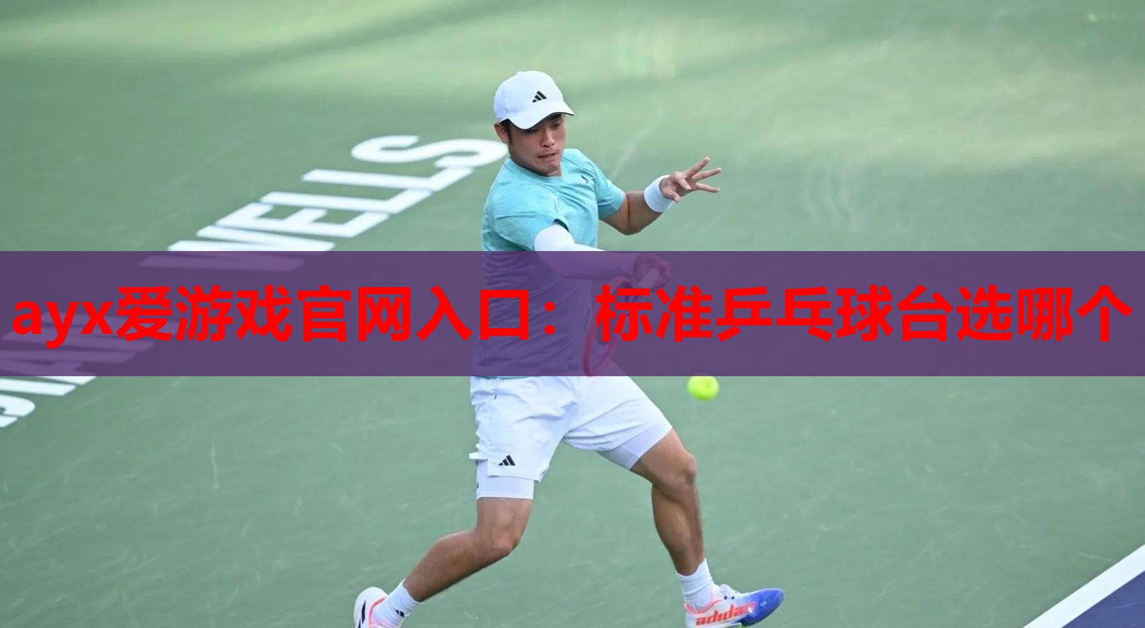 标准乒乓球台选哪个 标准乒乓球台选哪个