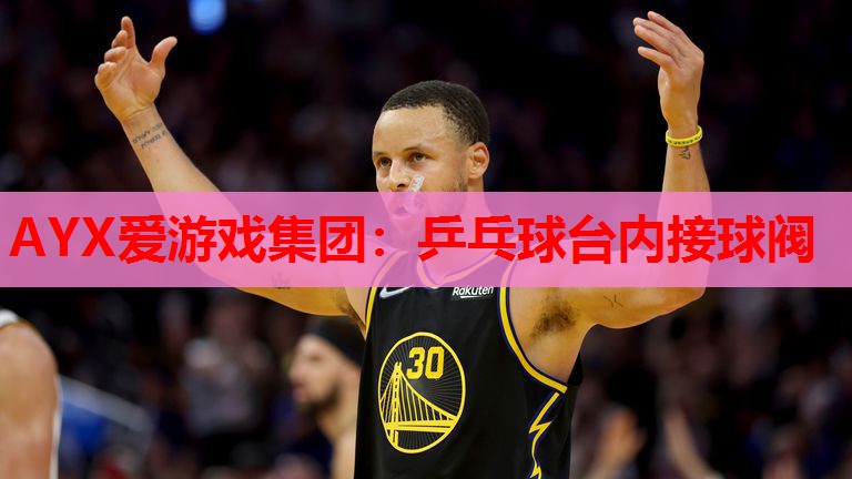 乒乓球台内接球阀 乒乓球台内接球阀