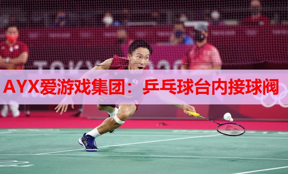 乒乓球台内接球阀 乒乓球台内接球阀