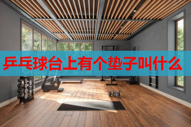 乒乓球台上有个垫子叫什么 乒乓球台上有个垫子叫什么