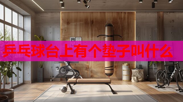 乒乓球台上有个垫子叫什么 乒乓球台上有个垫子叫什么