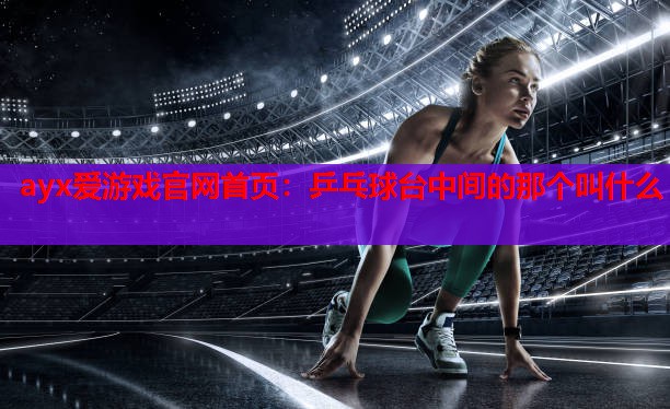 乒乓球台中间的那个叫什么 乒乓球台中间的那个叫什么