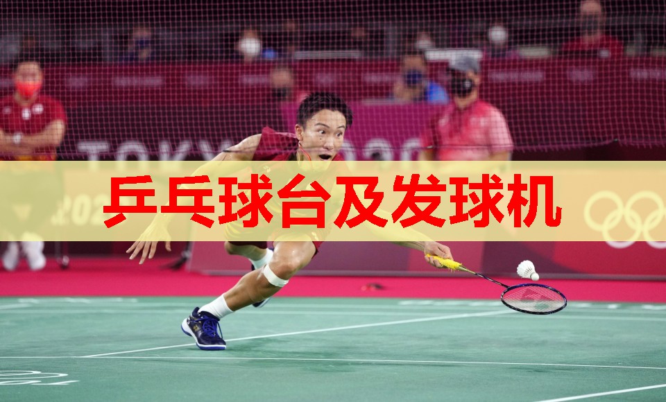 乒乓球台及发球机 乒乓球台及发球机