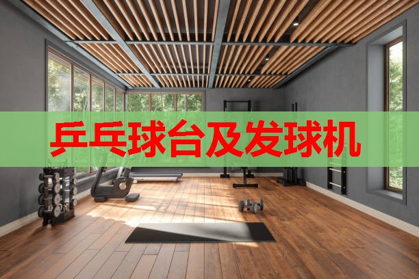 乒乓球台及发球机 乒乓球台及发球机