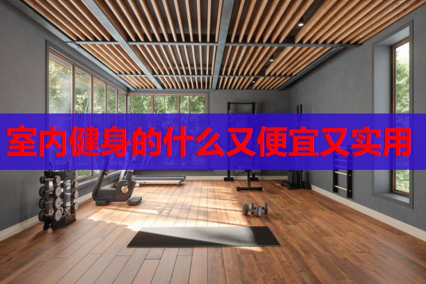 室内健身的什么又便宜又实用 室内健身的什么又便宜又实用