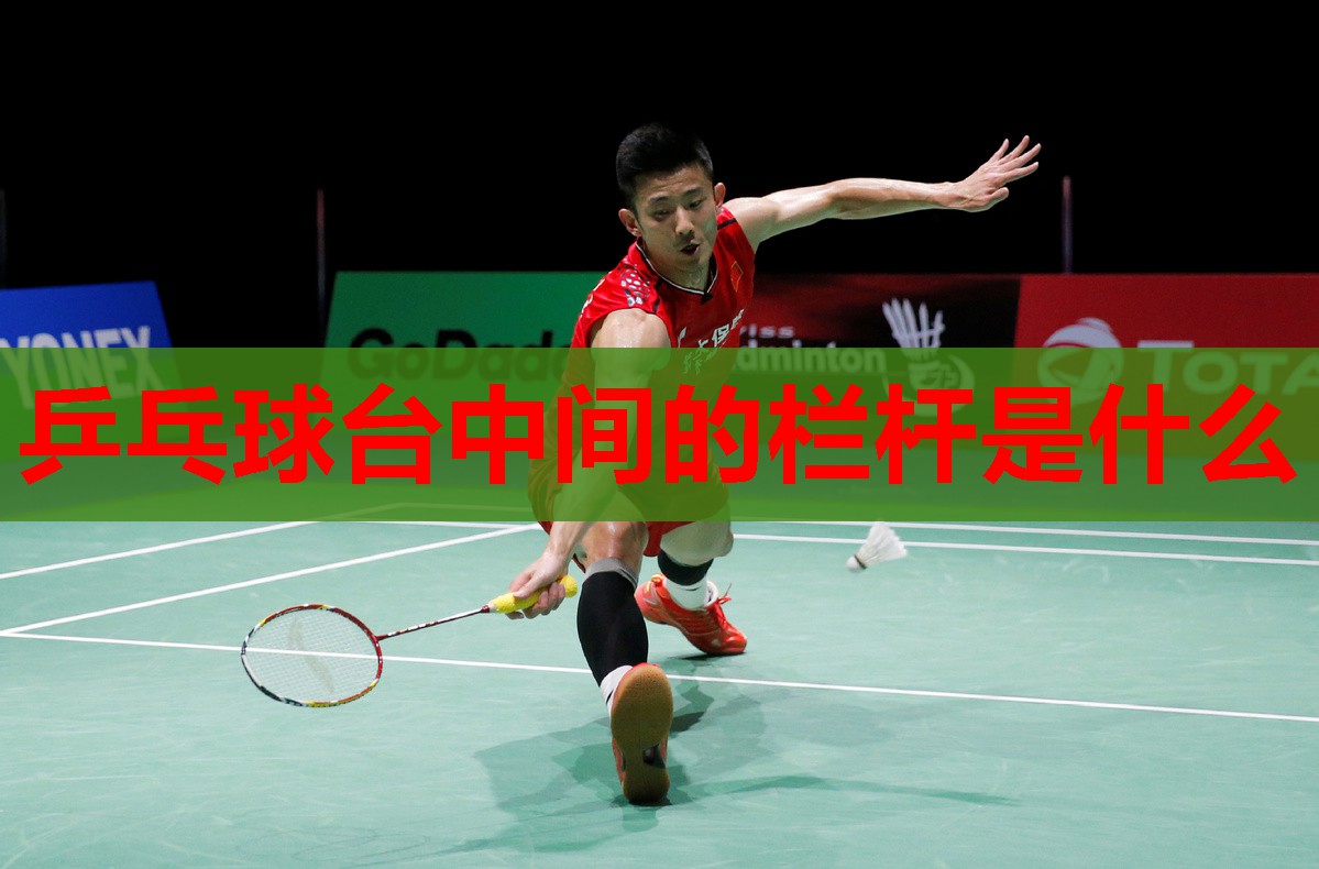 乒乓球台中间的栏杆是什么 乒乓球台中间的栏杆是什么