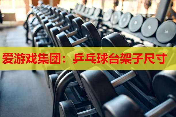 乒乓球台架子尺寸 乒乓球台架子尺寸