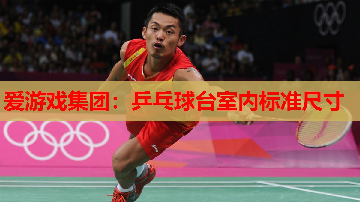 乒乓球台室内标准尺寸 乒乓球台室内标准尺寸