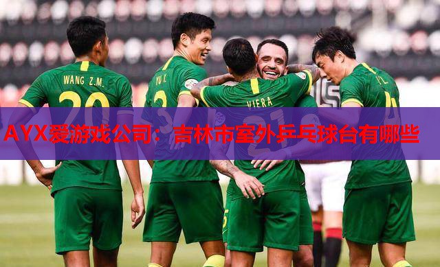 吉林市室外乒乓球台有哪些 吉林市室外乒乓球台有哪些