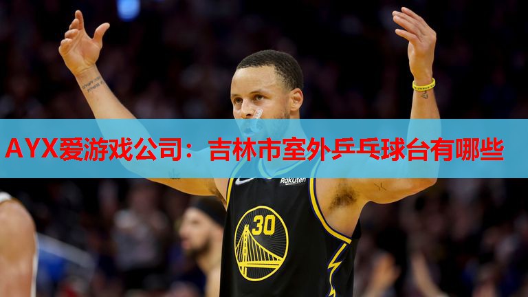 吉林市室外乒乓球台有哪些 吉林市室外乒乓球台有哪些