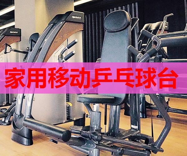 家用移动乒乓球台 家用移动乒乓球台