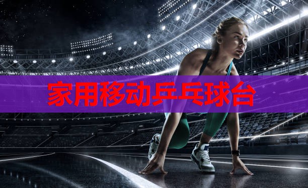 家用移动乒乓球台 家用移动乒乓球台