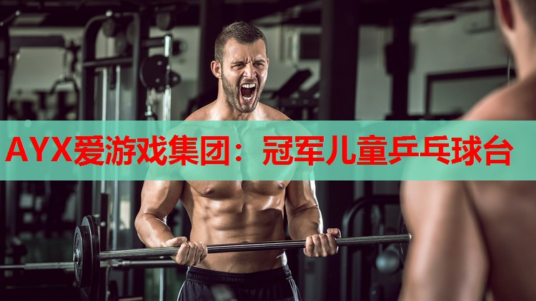冠军儿童乒乓球台 冠军儿童乒乓球台