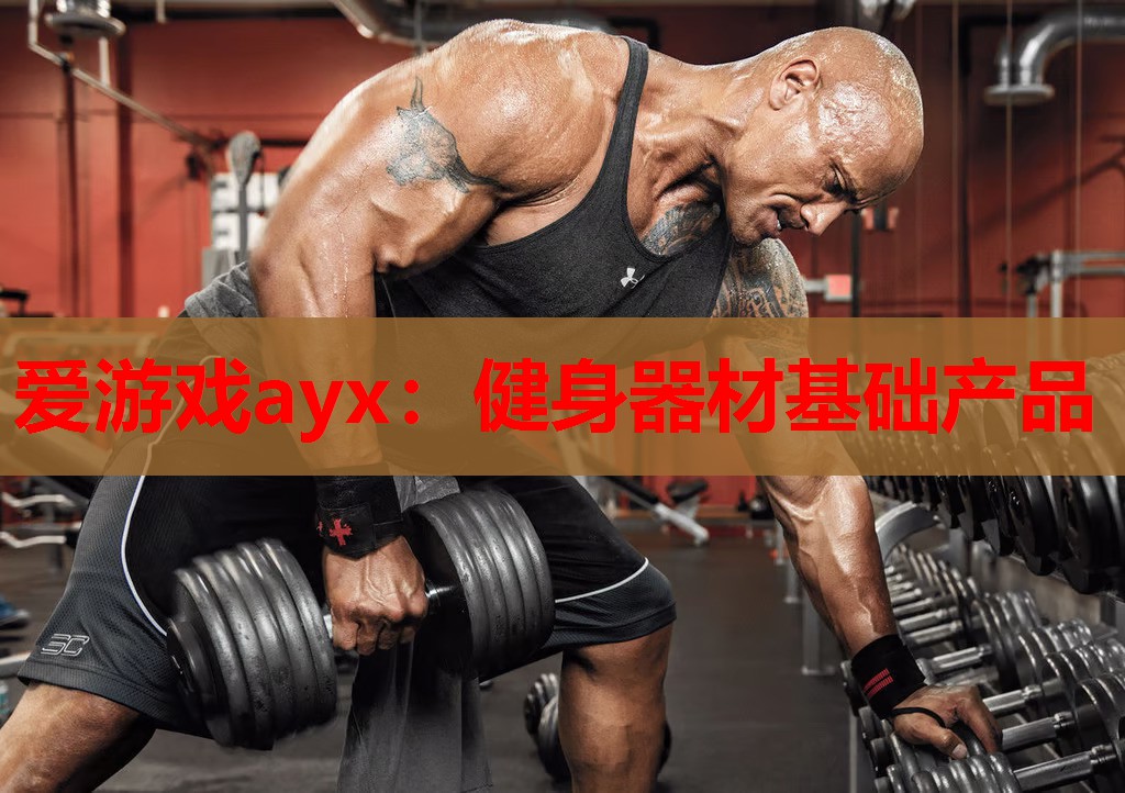 健身器材基础产品 健身器材基础产品