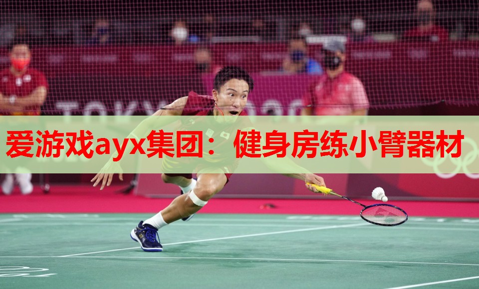 健身房练小臂器材 健身房练小臂器材