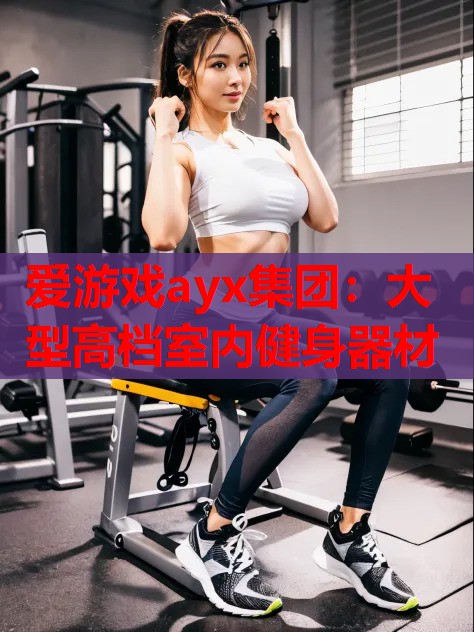 大型高档室内健身器材 大型高档室内健身器材