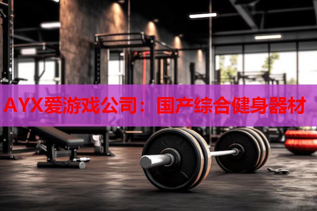 国产综合健身器材 国产综合健身器材