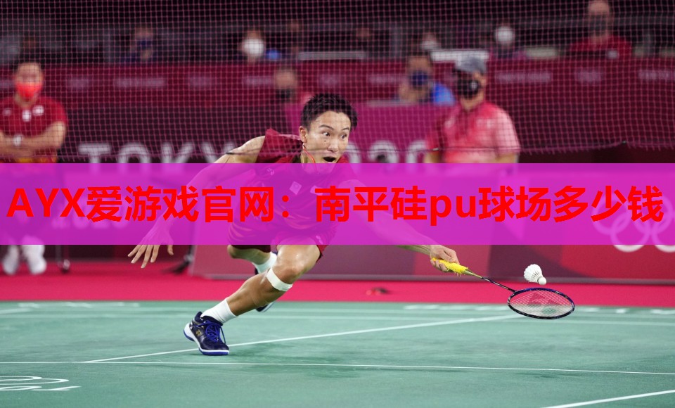 南平硅pu球场多少钱 南平硅pu球场多少钱