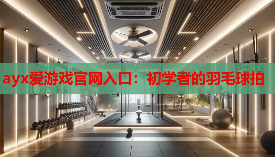 初学者的羽毛球拍 初学者的羽毛球拍