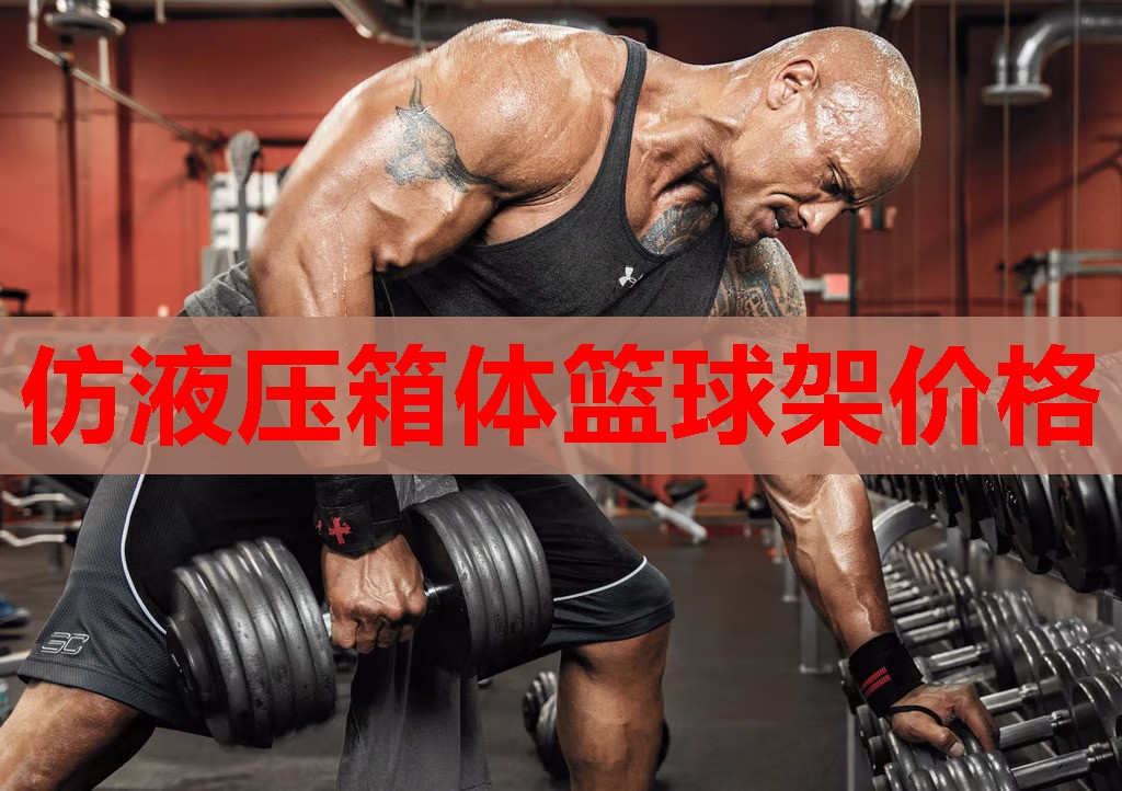 仿液压箱体篮球架价格 仿液压箱体篮球架价格