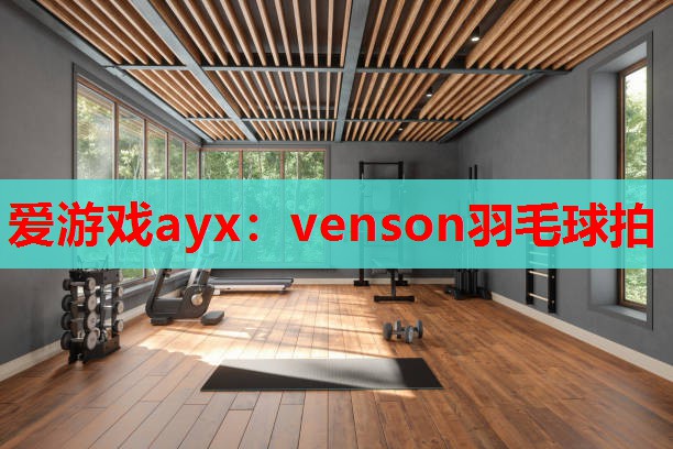 venson羽毛球拍 venson羽毛球拍