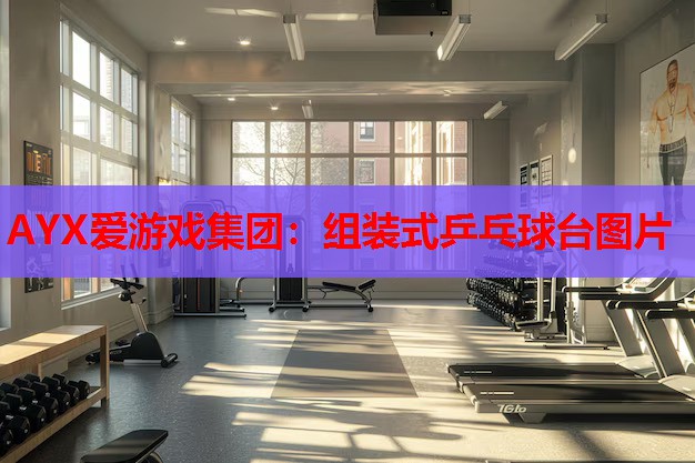 组装式乒乓球台图片 组装式乒乓球台图片