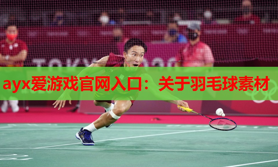 关于羽毛球素材 关于羽毛球素材