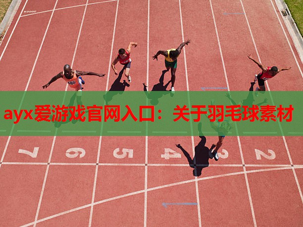 关于羽毛球素材 关于羽毛球素材
