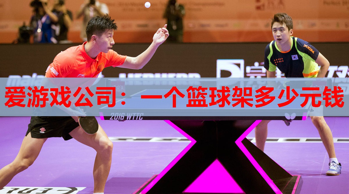 一个篮球架多少元钱 一个篮球架多少元钱