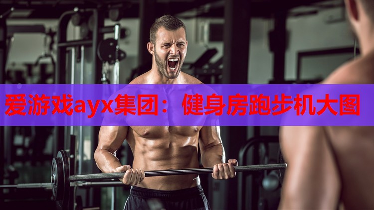 健身房跑步机大图 健身房跑步机大图