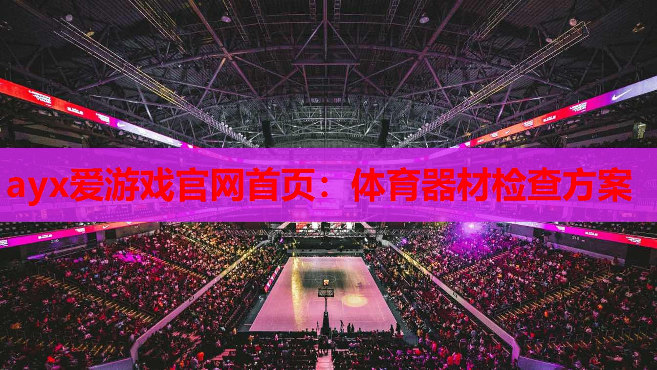体育器材检查方案 体育器材检查方案