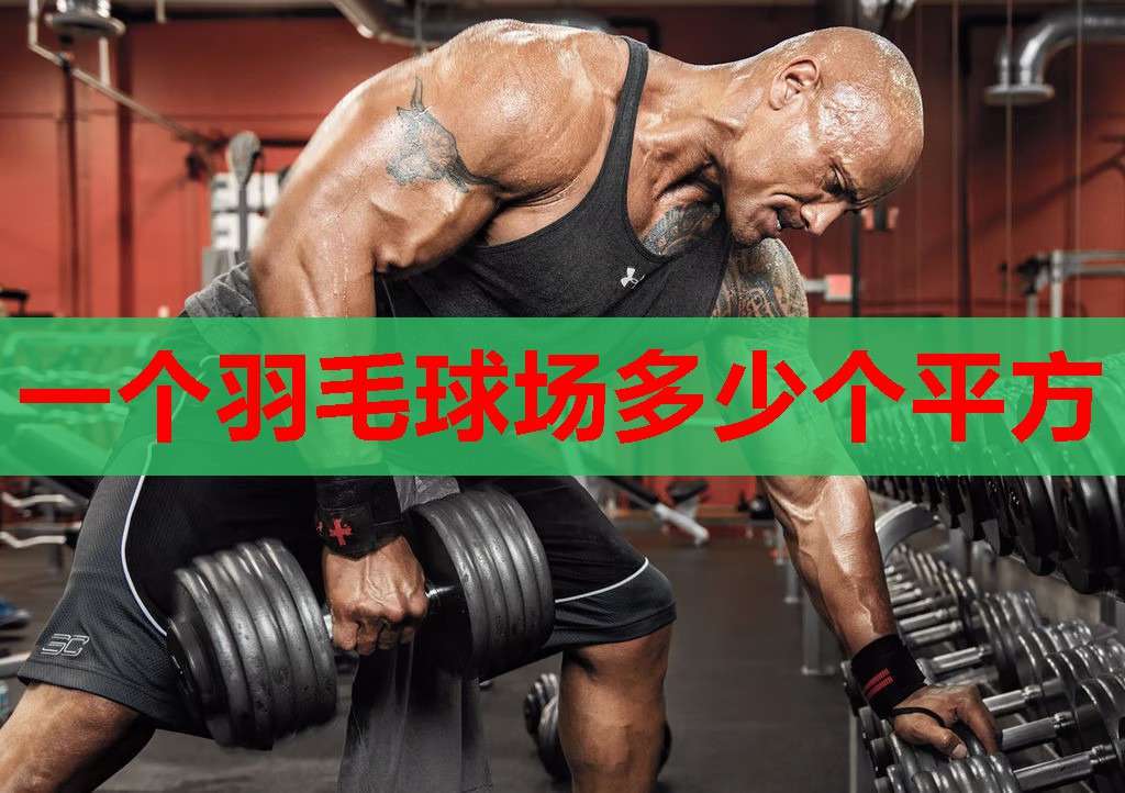 一个羽毛球场多少个平方 一个羽毛球场多少个平方